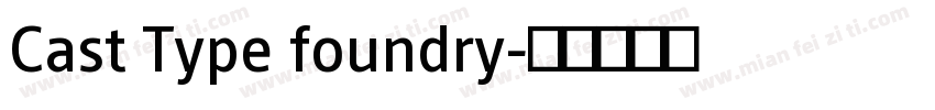 Cast Type foundry字体转换